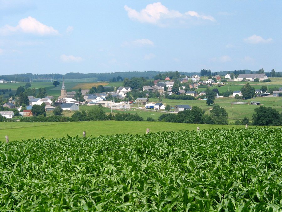 File:Cherain (Gouvy) 050710 (2).JPG