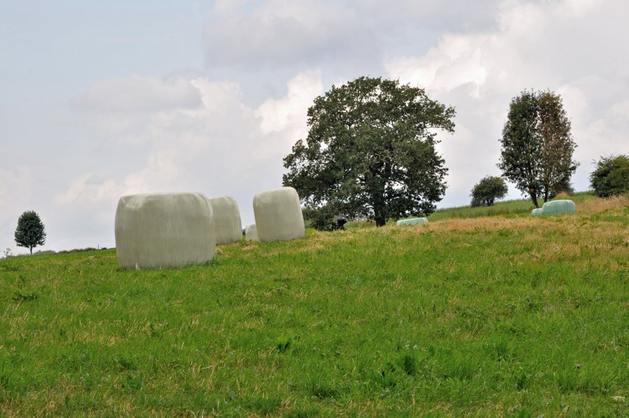 File:Landscape of Rahier (grass and trees).jpg