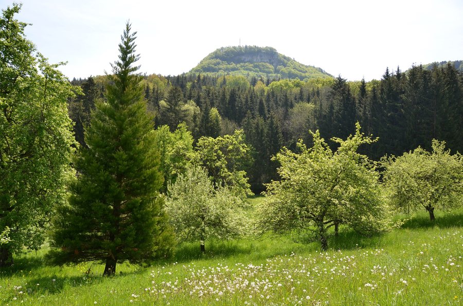 View toward Gräbelesberg, Albstadt-Bitz Landscape Conservation Area