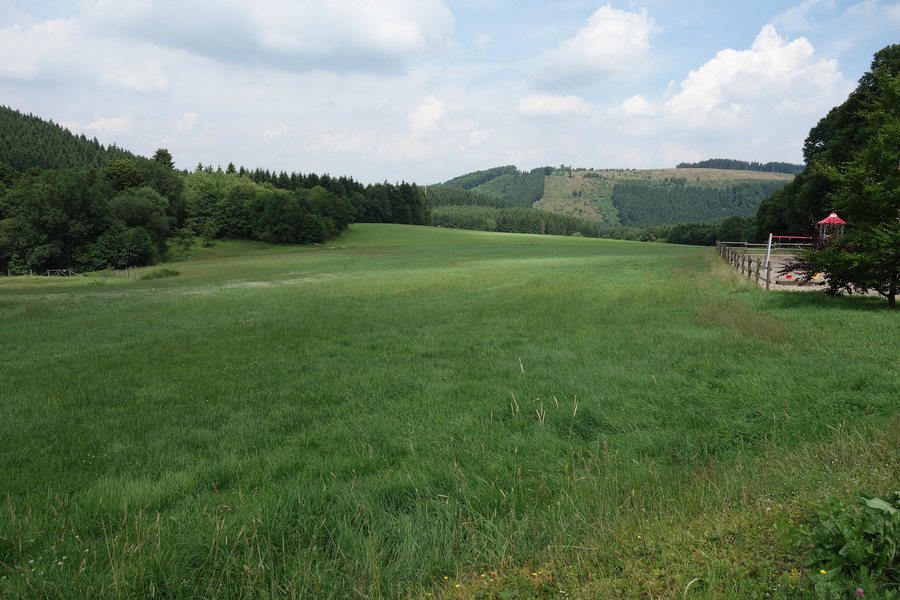 File:Landschaftsschutzgebiet Restgrünland um Gellinghausen und Offenlandinseln südlich Gellinghausen bis Rimberg.JPG