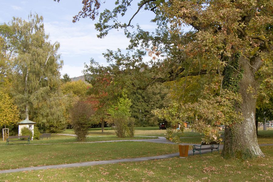 Park des Schlosses Kahlsperg in Oberalm im Bezirk Hallein