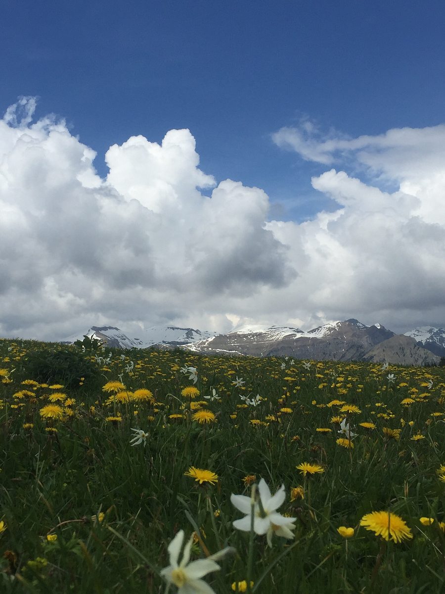 Blick vom Monte Avena auf die Vette Feltrine im Naturpark der Belluneser Dolomiten