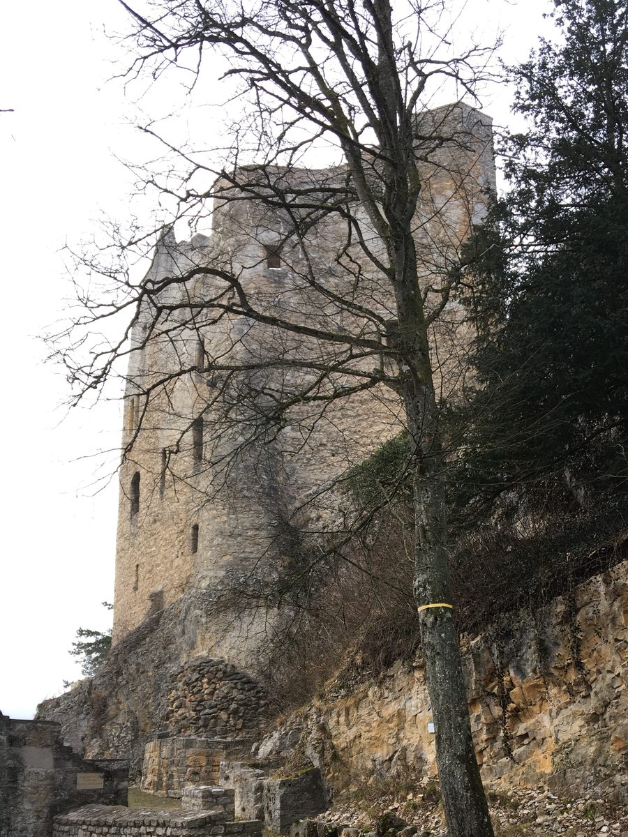 Burgruine Homburg bei Läufelfingen, Ansicht von Nordosten