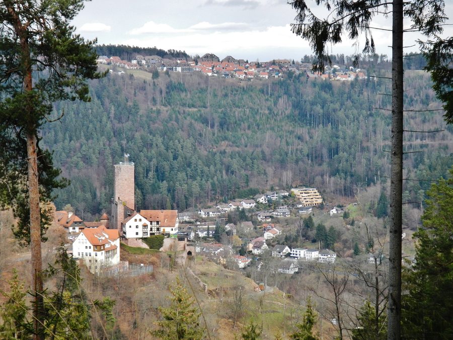 Burg Liebenzell auf einem bewaldeten Höhenzug bei Bad Liebenzell