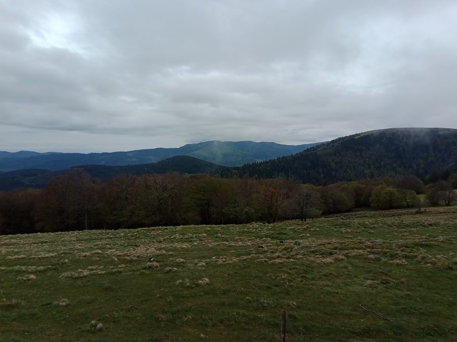Blick auf Le Gaschney in der Berglandschaft der Vogesen