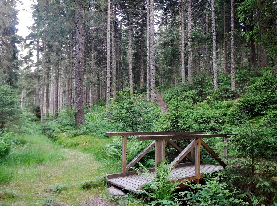 Brücke über das Calmbächle in der Umgebung von Oberreichenbach