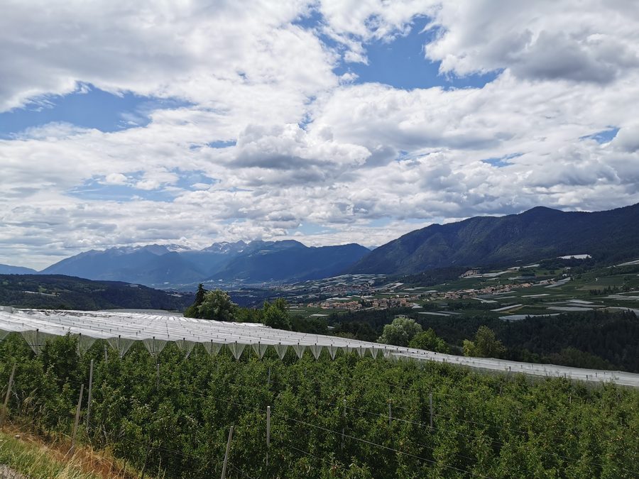 Blick über das Val di Non mit Cles und den umliegenden Bergen