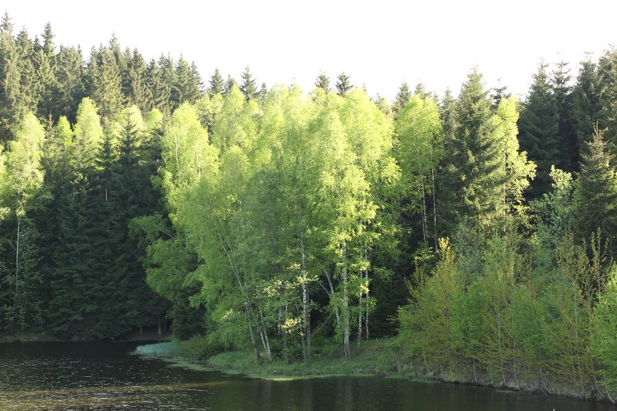 File:Talsperre Eibenstock (MGK05087).jpg