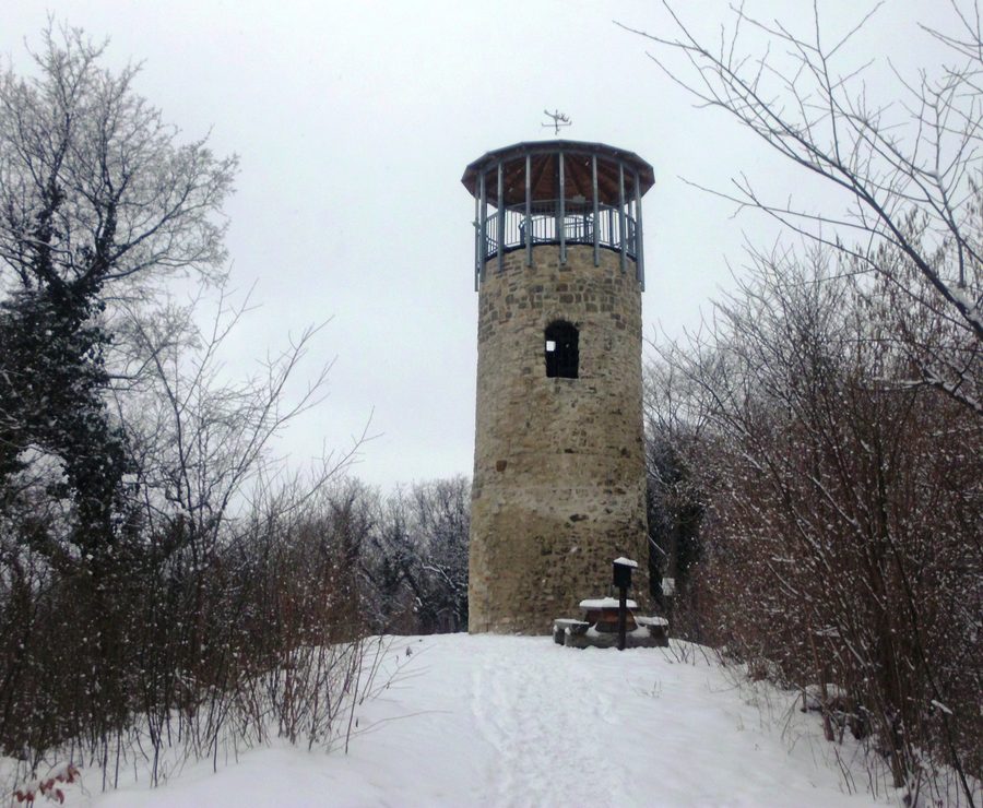 Austbergturm bei Benzingerode auf dem Austberg