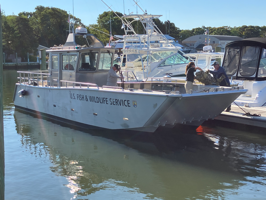 File:USFWS boat Massachusetts 18 September 2024.png