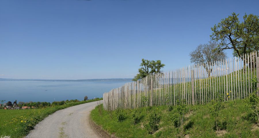 Blick von der Schlangenstraße im Ortsteil Windegg auf dem Rorschacherberg auf den Bodensee