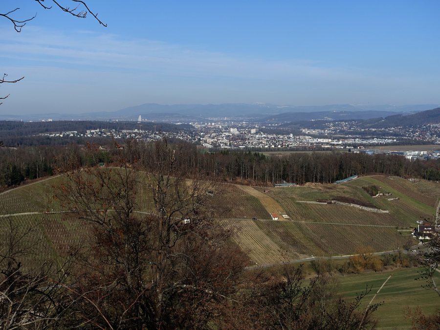 Blick von der Ruine Münchsberg bei Aesch über das Basel-Land
