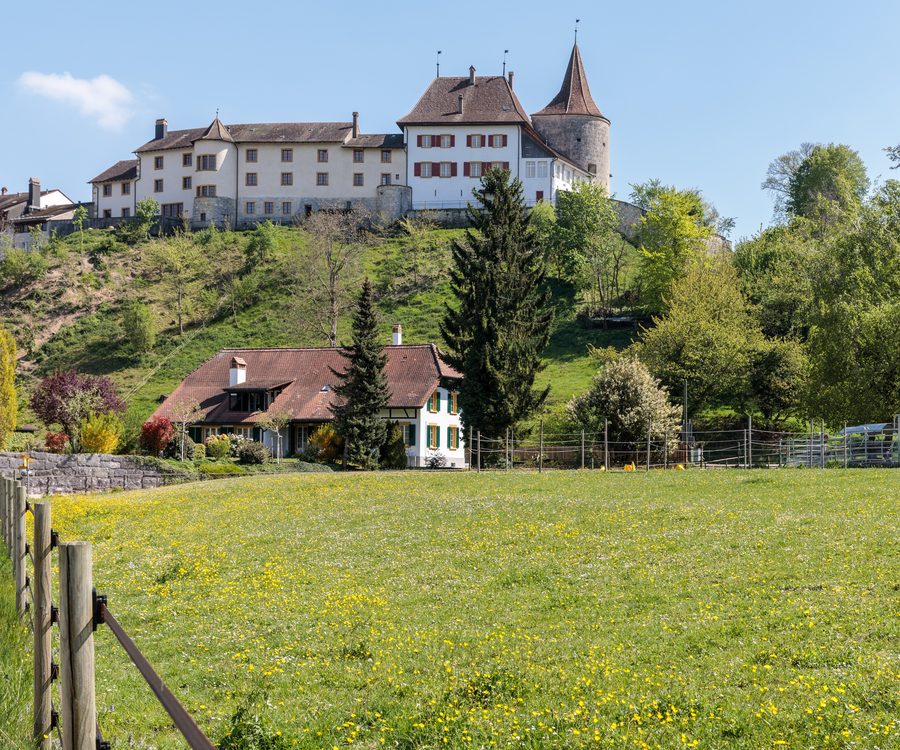 Blick von Nordwest auf Schloss Erlach am Bielersee