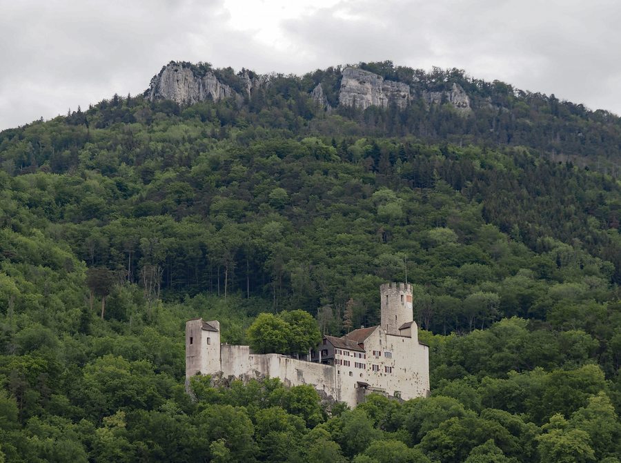 Schloss Neu-Bechburg vor der bewaldeten Jura-Landschaft bei Oensingen