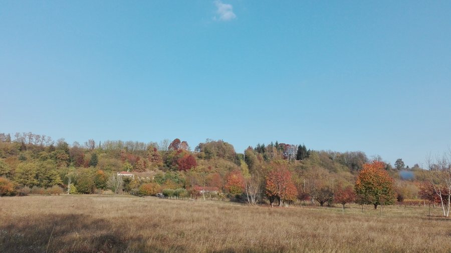 File:Colline novaresi - Romagnano Sesia, Italy.jpg
