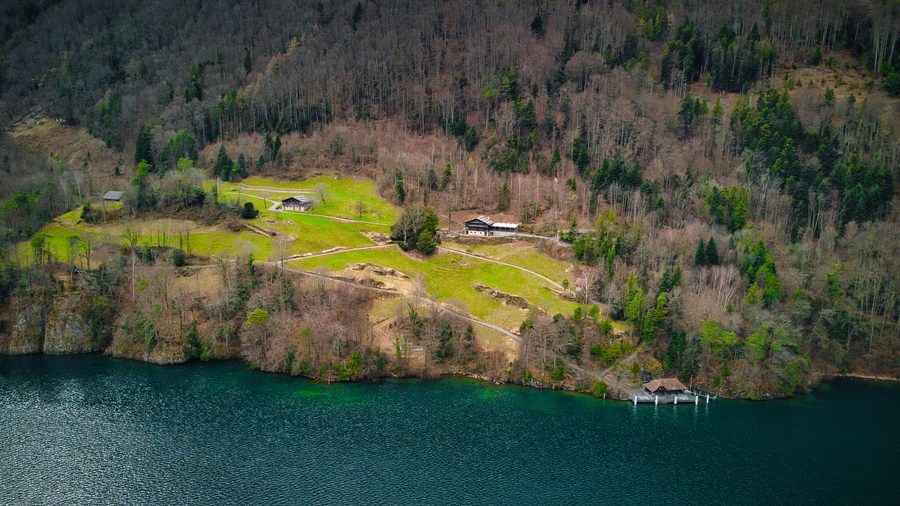 Blick auf die Rütliwiese am Vierwaldstättersee