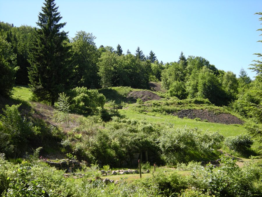 Historische Bergbaulandschaft der Hautes-Mynes du Thillot in den Vogesen