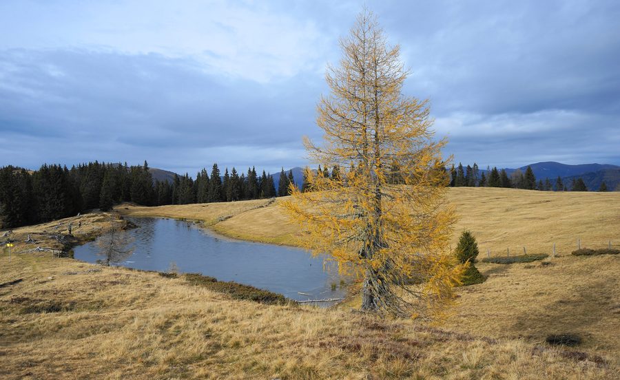 Schwarzsee bei Verditz in den Kärntner Nockbergen mit Berglandschaft