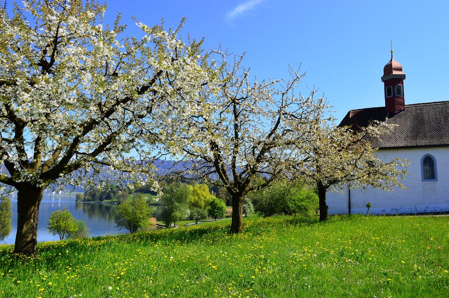 Blick auf den Zugersee bei Risch im Kanton Zug
