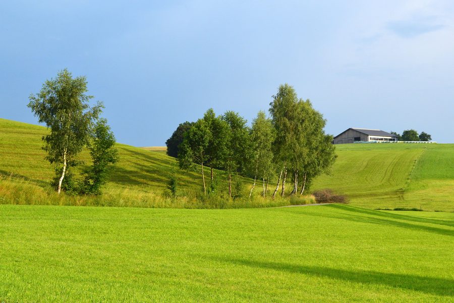 Landschaft bei Rohrbach im Mühlviertel in Oberösterreich