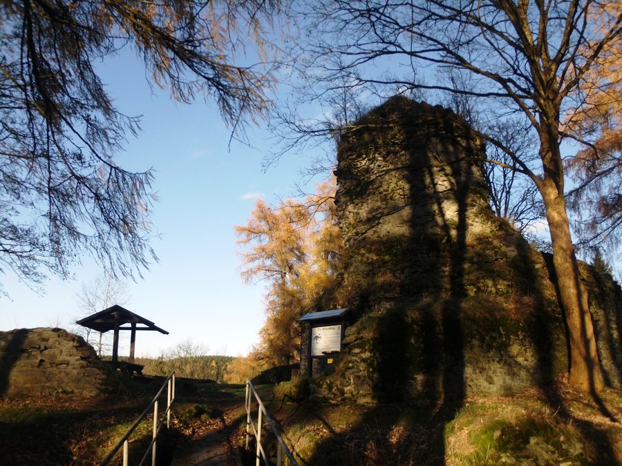 Ruine der Königsburg bei Königshütte im Harz
