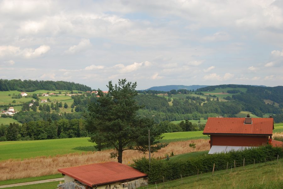 Blick von Saulcy auf die ländliche Landschaft der Franches-Montagnes im Schweizer Jura
