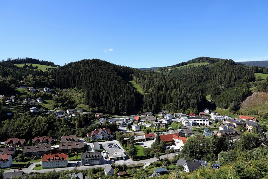 Ratten in der Steiermark, Österreich