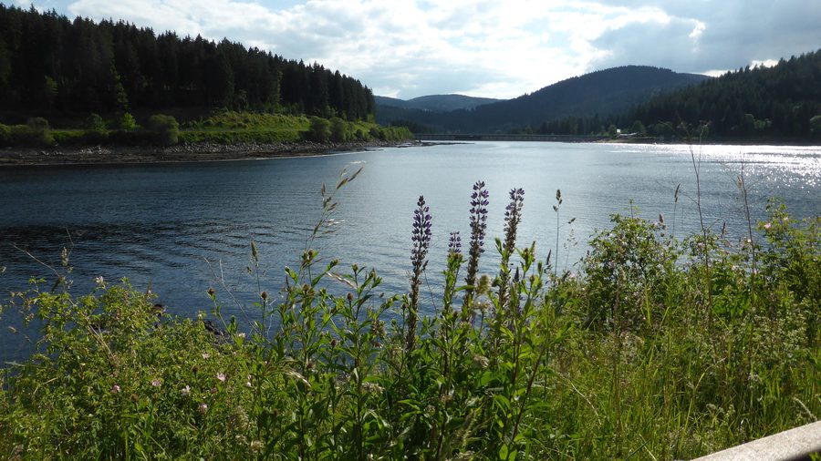 Blick auf den Schluchsee-Stausee im Südschwarzwald