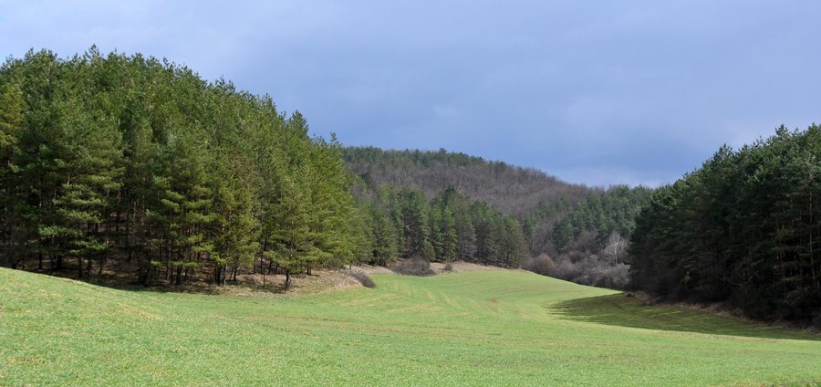 File:Cered, Felső-tarnai-dombság 2021 01.jpg