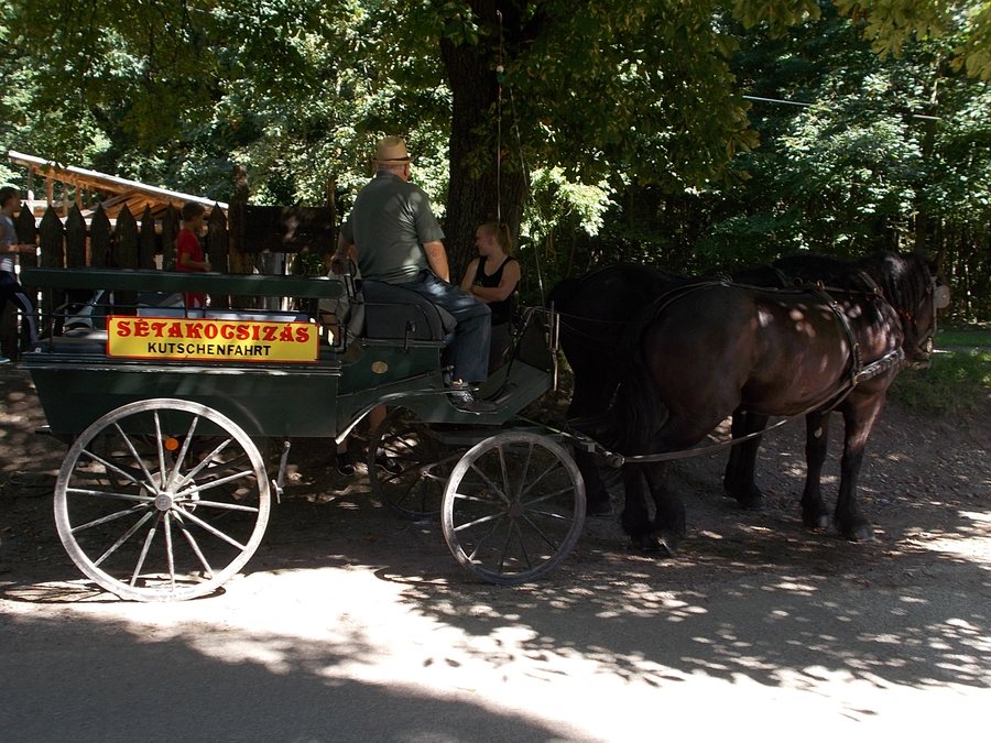 Carriage rides available in Szalajka Valley, Szilvásvárad, 2016 Hungary
