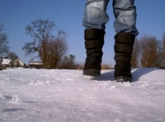 Schneebeine Schneebeine