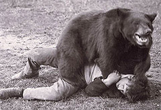 борьба с дрессированным  медведем